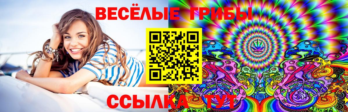 Галлюциногенные грибы мухоморы Мариинск